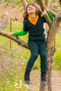 Boy climbs tree looking up Stock Photos