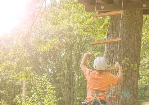 Boy climbs a tree Stock Photos