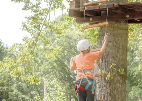 Boy climbs a tree Stock Photos