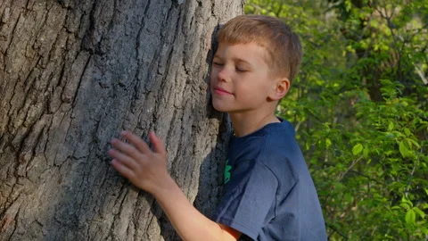 A boy clings to the trunk of an old tree while walking in nature. Stock Footage 307624659