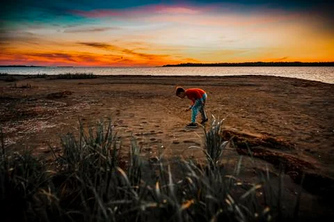 Boy collecting shell by sunrise on a summer day Stock Photos