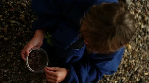 Boy Collecting Worms Stock Footage 42565730