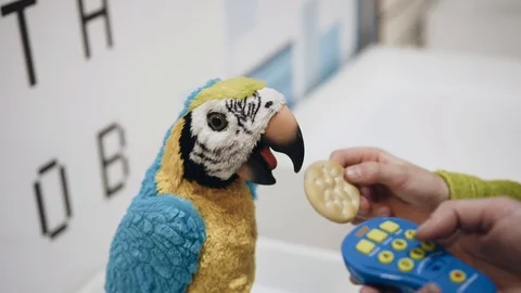 The boy controls a toy in the form of a parrot Stock Footage 120090340