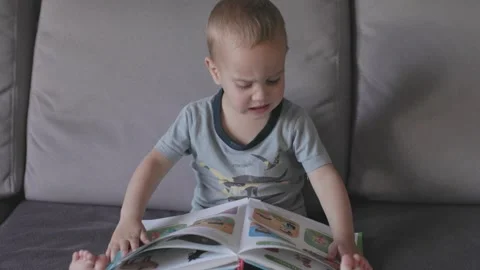 Boy on couch reading encyclopedia absorbing knowledge about surrounding world Video stock 280608303
