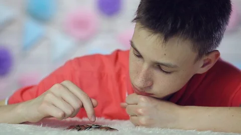 The boy counts coins and is sad. Close up Stock Footage 109110237