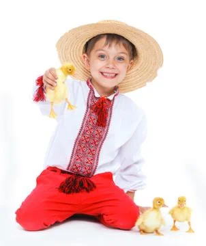 Boy with cute ducklings Stock Photos