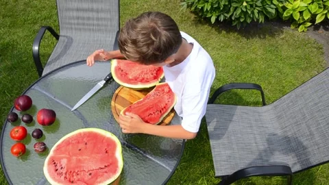 Boy Cutting Fresh Watermelon Into Pieces Stock Footage 341811667