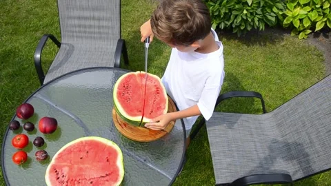 Boy Cutting Fresh Watermelon Into Pieces Stock Footage 341811672