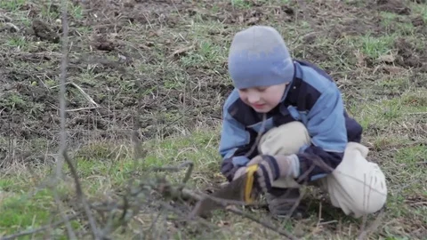 Boy cutting a tree branch Stock Footage 73092552