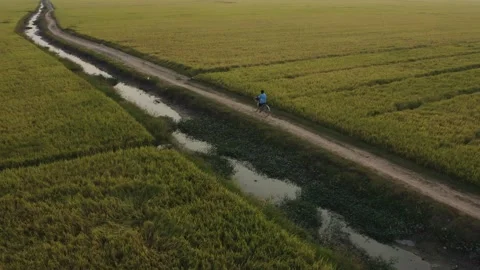 A Boy Cycling On Field Stock Footage 232366048