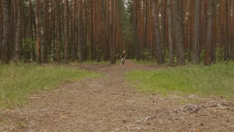 Boy cycling towards camera on forest path Stock Footage 316581942