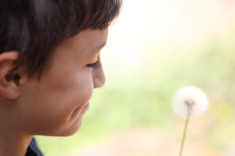 Boy with dandelion Stock Photos