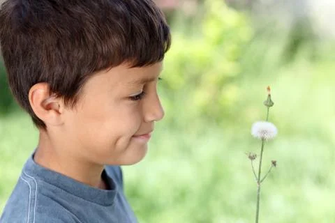 Boy with dandelion Stock Photos