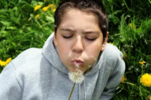 The boy in the dandelions Stock Photos