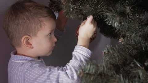 Boy decorate a Christmas tree Stock Footage 113753101