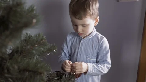 Boy decorate a Christmas tree Stock Footage 113753142