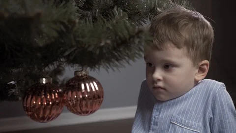 Boy decorate a Christmas tree Stock Footage 113753608