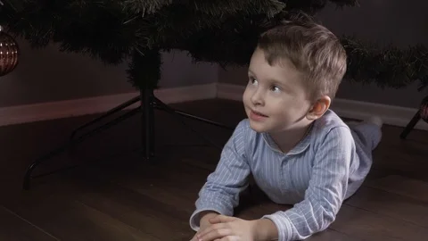 Boy decorate a Christmas tree Stock Footage 113753674