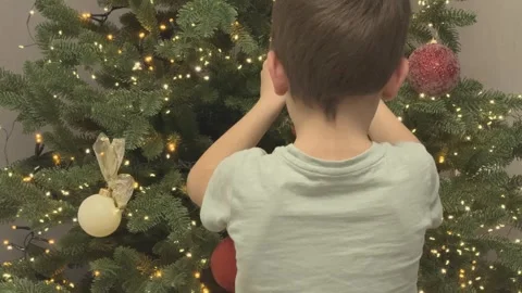 Boy Decorating Christmas Tree Close View Placing Ornament Festive Family Stock Footage 344881733
