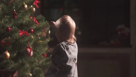 A boy decorating a Christmas tree Stock-Footage 70081042