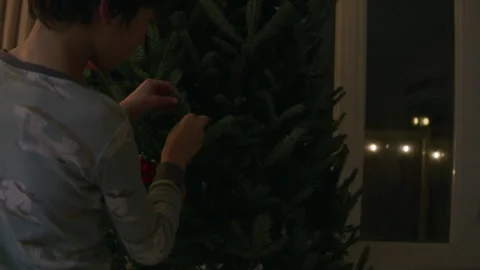Boy decorating real indoor christmas tree at night preparing for holiday Stock Footage 345535159