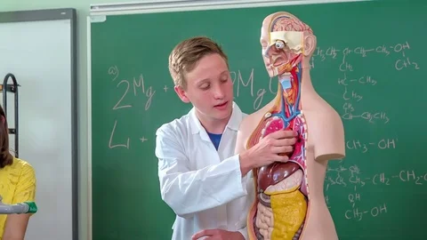 Boy is decribing the heart to his classmates and its functions Stock Footage 77678562
