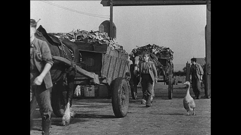 Boy delinquents doing farm work in boarding school, UK 1944 Vídeos de archivo 139237660