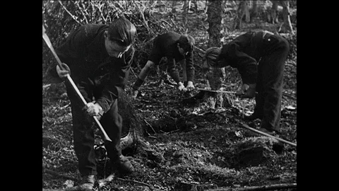 Boy delinquents doing forestry work in boarding school, UK 1944 Stock Footage 139237549