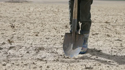The boy digging a hole Stock Footage 128912796