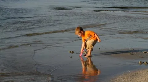 Boy Digging In Sand Video stock 11147889