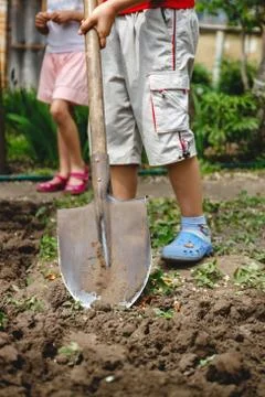The boy is digging a vegetable garden with a big shovel. The concept of helpi Stock Photos