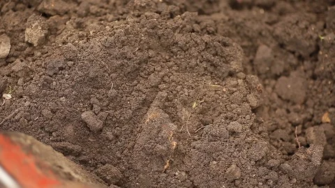 The boy is digging worms. Stock Footage 130140207