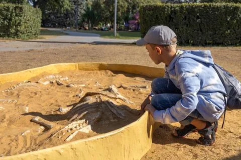 Boy digs up dinosaur bones in sand. Fascination with paleontology Foto stock
