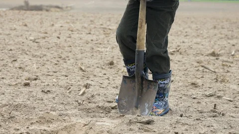 A boy digs a hole and plants plants Stock Footage 128913064
