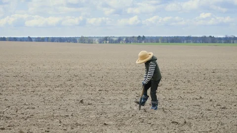 Boy digs a hole in the field Stock-Footage 128912149