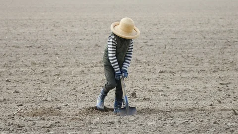 Boy digs a hole in the soil Stock Footage 128911266