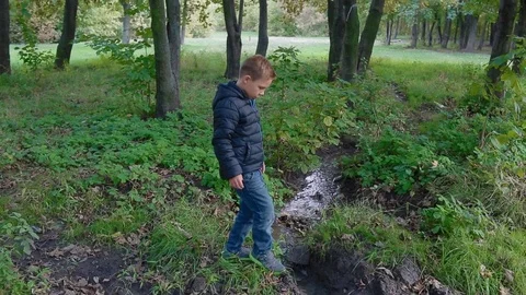 Boy discovering nature Stock Footage 76736714