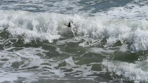 Boy dive into a foaming wave. Live a healthy life. Be H3althy Vidéo 344458375