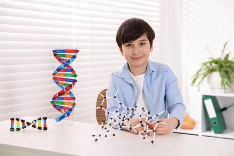 Boy with DNA structure model at desk indoors Stock Photos