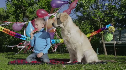 Boy, dog and watermelon. Stock Footage 50667332