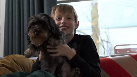 Boy with dog dachshund on couch Stock Footage 146289825
