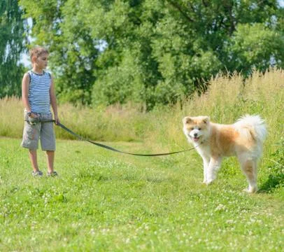 A boy with a dog 写真素材
