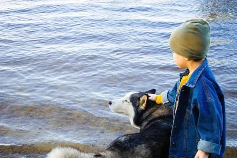 The boy with the dog. Stock Photos