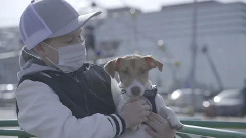 Boy with a dog in the playground  Stock-Footage 141593894