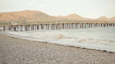 A boy with a dog run on the beach Stock Footage 72769459