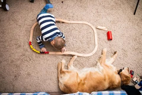 Boy, dog, train Photos