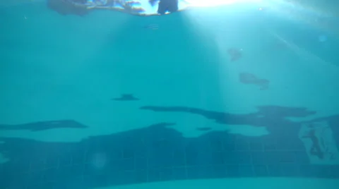 A boy doing a cannonball and jumping into a pool at a hotel resort. Stock Footage 68007935