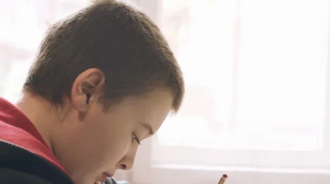 Boy Doing Homework Vídeo Stock 43341790