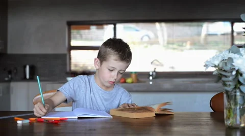 Boy doing homework Stock Footage 53088581