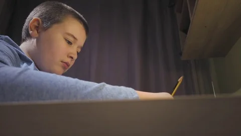 Boy doing homework Stock Footage 73205861